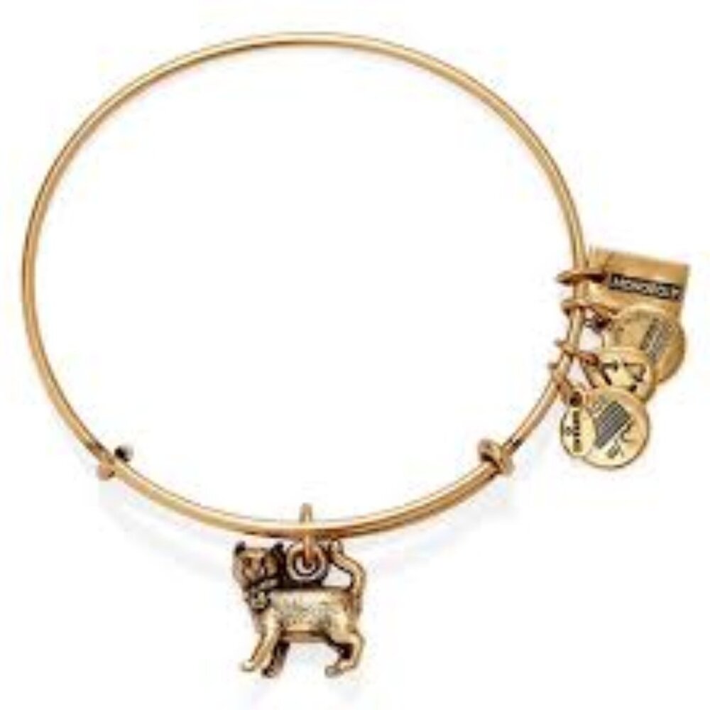 ALEX & ANI Monopoly Cat Charm Bangle Bracelet Gold ~ NWT!